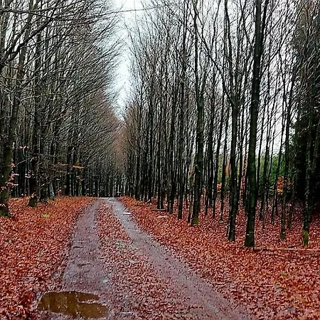 Feriehus Maison Des Voisins Tavigny