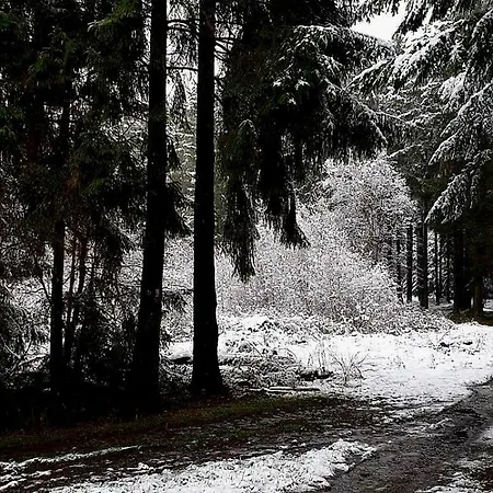 Maison Des Voisins Feriehus Tavigny